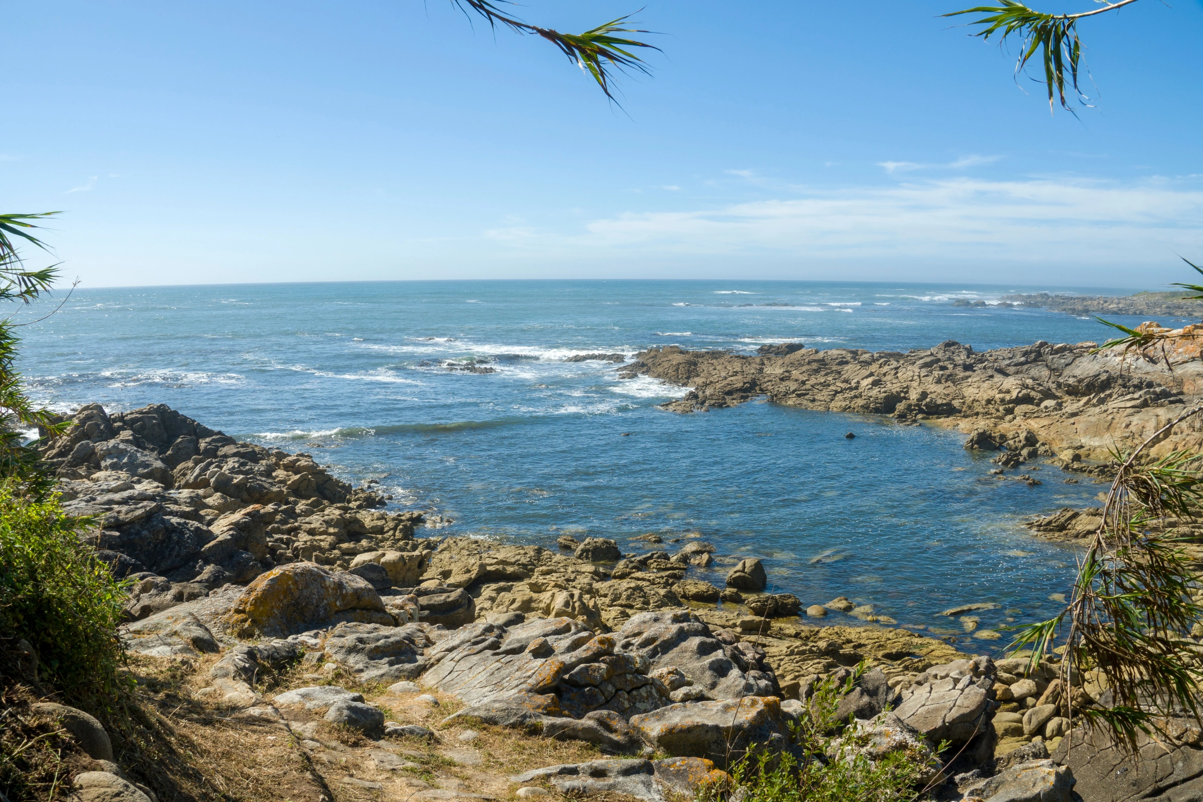 Pontevedra[1].webp